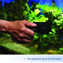 Aqueon Algae Cleaning Magnet for Aquariums -[Wholistic Pet Organics || Aqueon || SmartBones Sales 102020 PT5. SY630 V1638486452