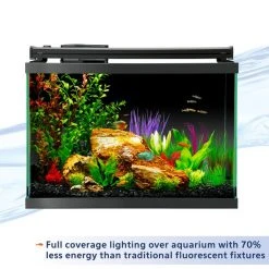 Aqueon LED Aquarium Light Fixture -[Wholistic Pet Organics || Aqueon || SmartBones Sales 140191 PT6. SY630 V1638489703