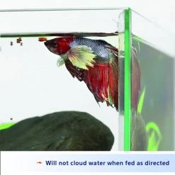 Aqueon Color Enhancing Betta Fish Food -[Wholistic Pet Organics || Aqueon || SmartBones Sales 158218 PT6. SY630 V1620084430