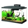 Aqueon LED Fish Aquarium Starter Kit, 10 gallon -[Wholistic Pet Organics || Aqueon || SmartBones Sales 159008 MAIN. SY630 V1631623304