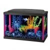 Aqueon LED NeoGlow Aquarium Starter Kit, Pink