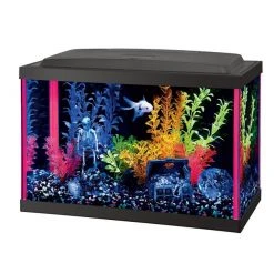 Aqueon LED NeoGlow Aquarium Starter Kit, Pink