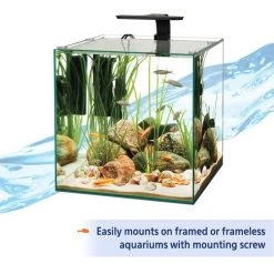 Aqueon Freshwater Aquarium Clip-On LED Light -[Wholistic Pet Organics || Aqueon || SmartBones Sales 180554 PT3. SY630 V1631593644