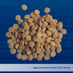 Aqueon PRO Carnivore Formula Fish Food, 4.5-oz jar 10 Aqueon PRO Carnivore Formula Fish Food, 4.5-oz jar -[Wholistic Pet Organics || Aqueon || SmartBones Sales 206238 PT3. SY630 V1608684449