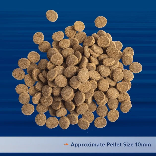 Aqueon PRO Carnivore Formula Fish Food, 4.5-oz jar 5 Aqueon PRO Carnivore Formula Fish Food, 4.5-oz jar - Image 3