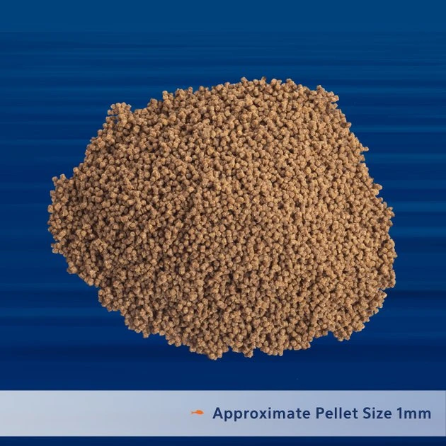 Aqueon PRO Community Formula Fish Food, 4.5-oz jar 5 Aqueon PRO Community Formula Fish Food, 4.5-oz jar - Image 3