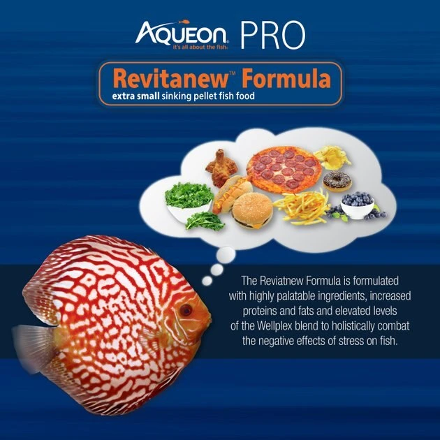 Aqueon PRO Revitanew Formula Fish Food, 5-oz jar 4 Aqueon PRO Revitanew Formula Fish Food, 5-oz jar - Image 2
