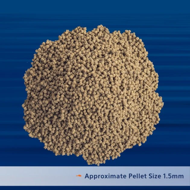 Aqueon PRO Revitanew Formula Fish Food, 5-oz jar 5 Aqueon PRO Revitanew Formula Fish Food, 5-oz jar - Image 3