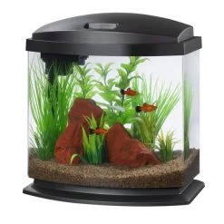 Aqueon LED MiniBow SmartClean Fish Aquarium Kit