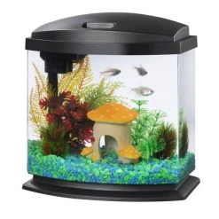 Aqueon LED MiniBow SmartClean Fish Aquarium Kit -[Wholistic Pet Organics || Aqueon || SmartBones Sales 262919 PT2. SY630 V1620090131