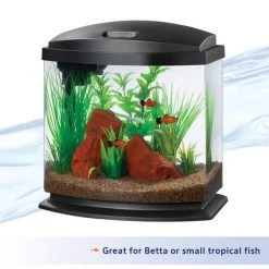 Aqueon LED MiniBow SmartClean Fish Aquarium Kit -[Wholistic Pet Organics || Aqueon || SmartBones Sales 262919 PT7. SY630 V1620093447