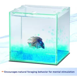 Aqueon PURE Betta Beads Aquarium Water Care, 8.8-oz bag -[Wholistic Pet Organics || Aqueon || SmartBones Sales 269411 PT5. SY630 V1625617314