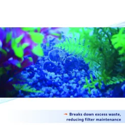 Aqueon PURE Bacteria Supplement 15 Aqueon PURE Bacteria Supplement -[Wholistic Pet Organics || Aqueon || SmartBones Sales 269415 PT4. SY630 V1638489990