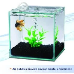 Aqueon Betta Natural Plant Betta Fish Aquarium Filter -[Wholistic Pet Organics || Aqueon || SmartBones Sales 277710 PT3. SY630 V1638492808