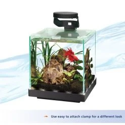 Aqueon Betta LED Fish Aquarium Light -[Wholistic Pet Organics || Aqueon || SmartBones Sales 277714 PT3. SY630 V1638486395
