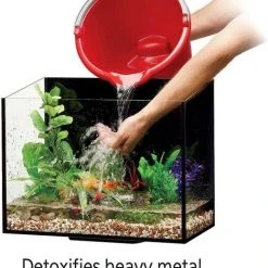 Aqueon Betta Bowl Plus Water Conditioner + Betta Fish Food -[Wholistic Pet Organics || Aqueon || SmartBones Sales 301782 PT3. SY630 V1622821967