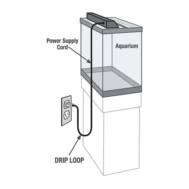 Aqueon Standard Glass Rectangle Aquarium, 10-gal 6 Aqueon Standard Glass Rectangle Aquarium, 10-gal - Image 4