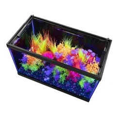 Aqueon Under Rim LED Aquarium Lamp 18 Aqueon Under Rim LED Aquarium Lamp -[Wholistic Pet Organics || Aqueon || SmartBones Sales 311405 PT7. SY630 V1632175626