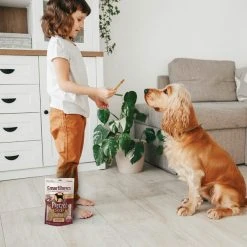 SmartBones Pretzel Sticks Dipped Real Cheese Dog Treats, 8 count -[Wholistic Pet Organics || Aqueon || SmartBones Sales 536014 PT4. SY630 V1651764090