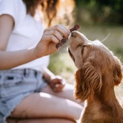 SmartBones Triple Flavor Dual Wraps Real Chicken, Beef & Pork Dog Treats, 8 count -[Wholistic Pet Organics || Aqueon || SmartBones Sales 536078 PT5. SY630 V1657658794