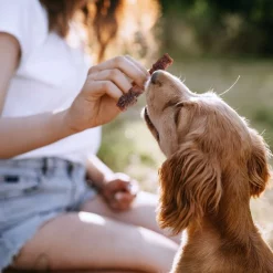 SmartBones Triple Flavor Dual Wraps Real Chicken, Pork & Peanut Butter Dog Treats, 8 count -[Wholistic Pet Organics || Aqueon || SmartBones Sales 536094 PT5. SY630 V1651551145