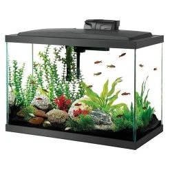 Flipper by Ollie and Hutch||Aqueon Flipper by Ollie & Hutch Neptune Fish Aquarium Stand, 20-gal + Aqueon LED Aquarium Starter Kit, 20-gal -[Wholistic Pet Organics || Aqueon || SmartBones Sales 567870 PT5. SY630 V1657659989