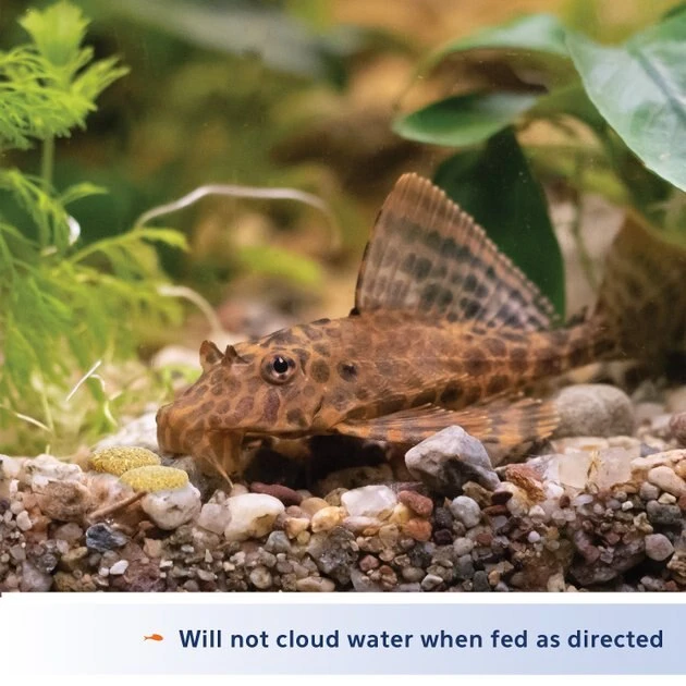 Aqueon Tablets Bottom Feeder Fish Food 5 Aqueon Tablets Bottom Feeder Fish Food - Image 3