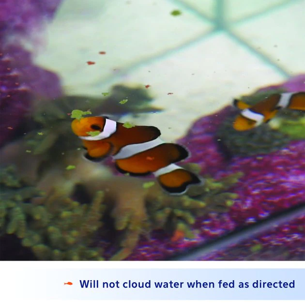 Aqueon Color Enhancing Marine Flakes Fish Food 6 Aqueon Color Enhancing Marine Flakes Fish Food - Image 4