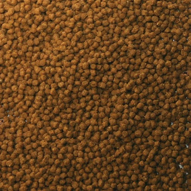 Aqueon Goldfish Granule Fish Food 8 Aqueon Goldfish Granule Fish Food - Image 6