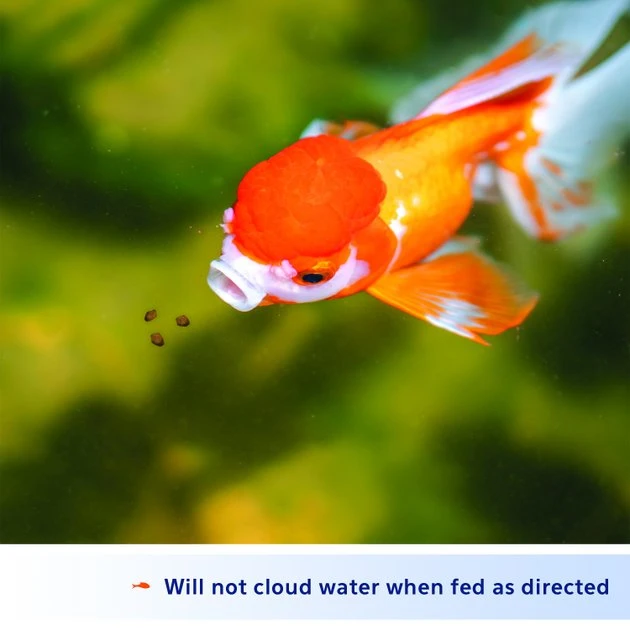 Aqueon Color Enhancing Goldfish Granules Fish Food 5 Aqueon Color Enhancing Goldfish Granules Fish Food - Image 3