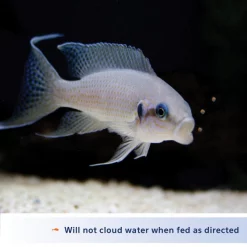 Aqueon Color Enhancing Cichlid Pellet Fish Food -[Wholistic Pet Organics || Aqueon || SmartBones Sales 96959 PT2. SY630 V1638488316