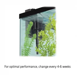 Aqueon Medium Replacement Filter Cartridge -[Wholistic Pet Organics || Aqueon || SmartBones Sales 96981 PT6. SY630 V1615872098